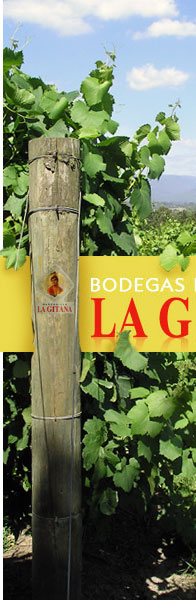 Bodegas