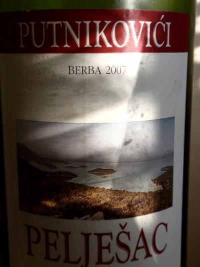 Putnikovici