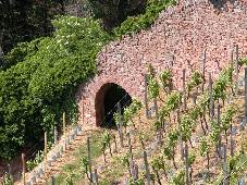 Weingut